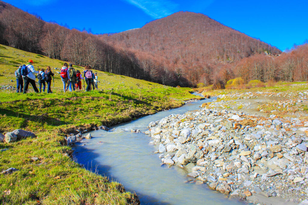 Tra Pini Loricati E Antichi Sentieri: Le Escursioni Imperdibili Del Pollino