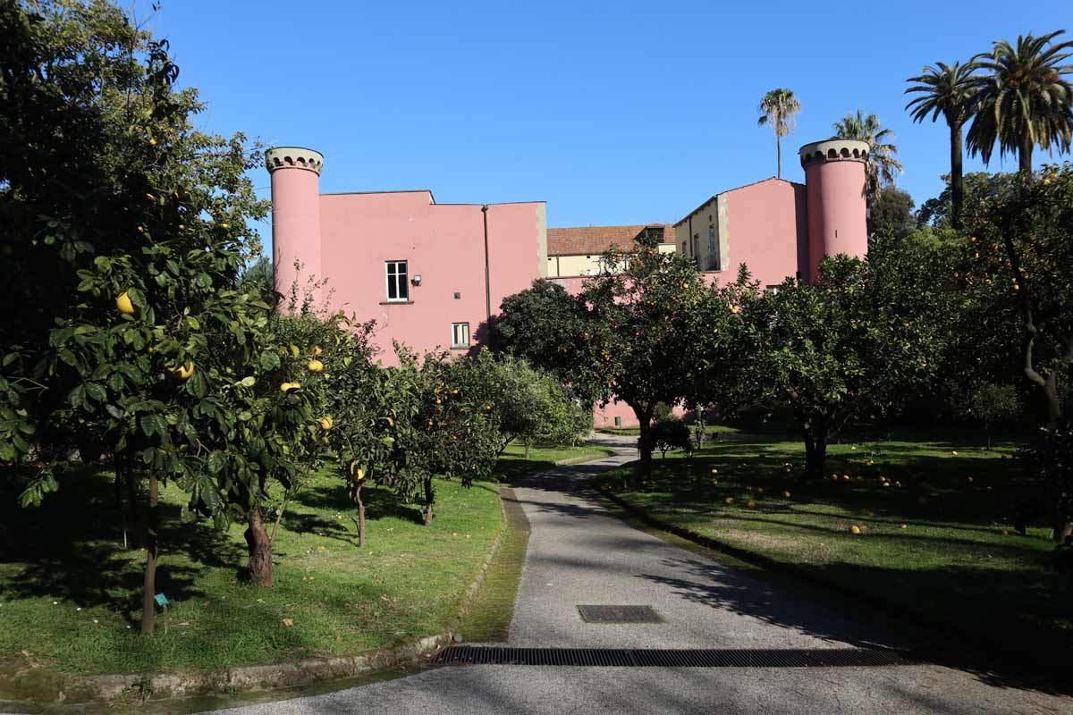 Real Orto Botanico di Napoli