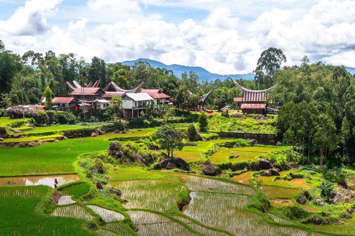 Tana Toraya, Sulawesi