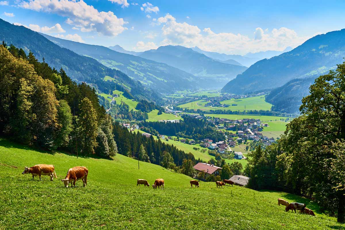 Valle Zillertal in Tirolo