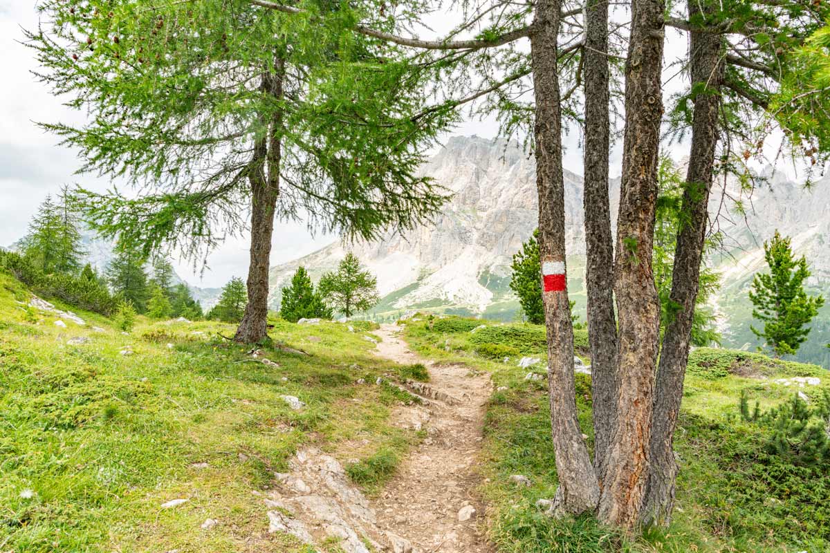 sentiero per il lago di Limides