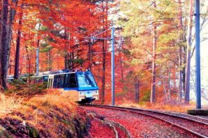 treno del foliage