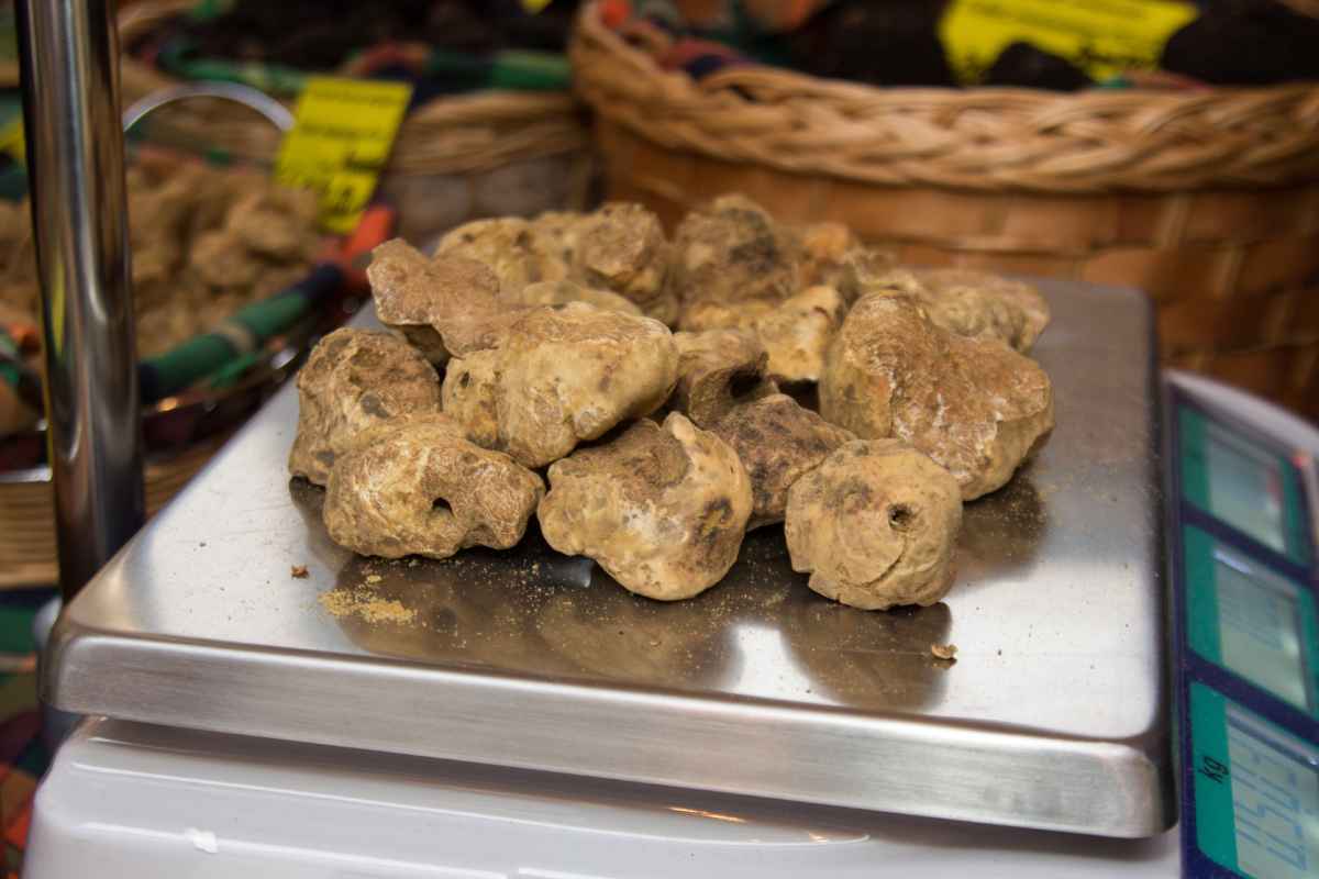 tartufo bianco su bilancia