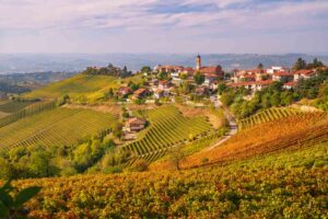 paesaggio autunnale nelle Langhe, Piemonte