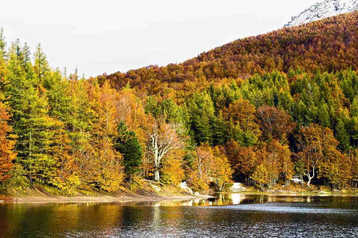 foliage autunnale al lago di Calamone